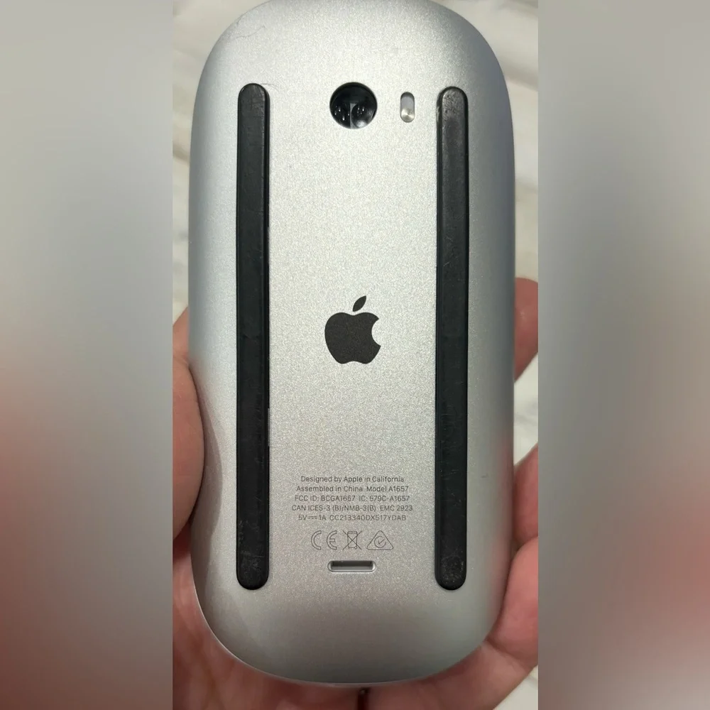 Apple Mouse. No box. Barely used